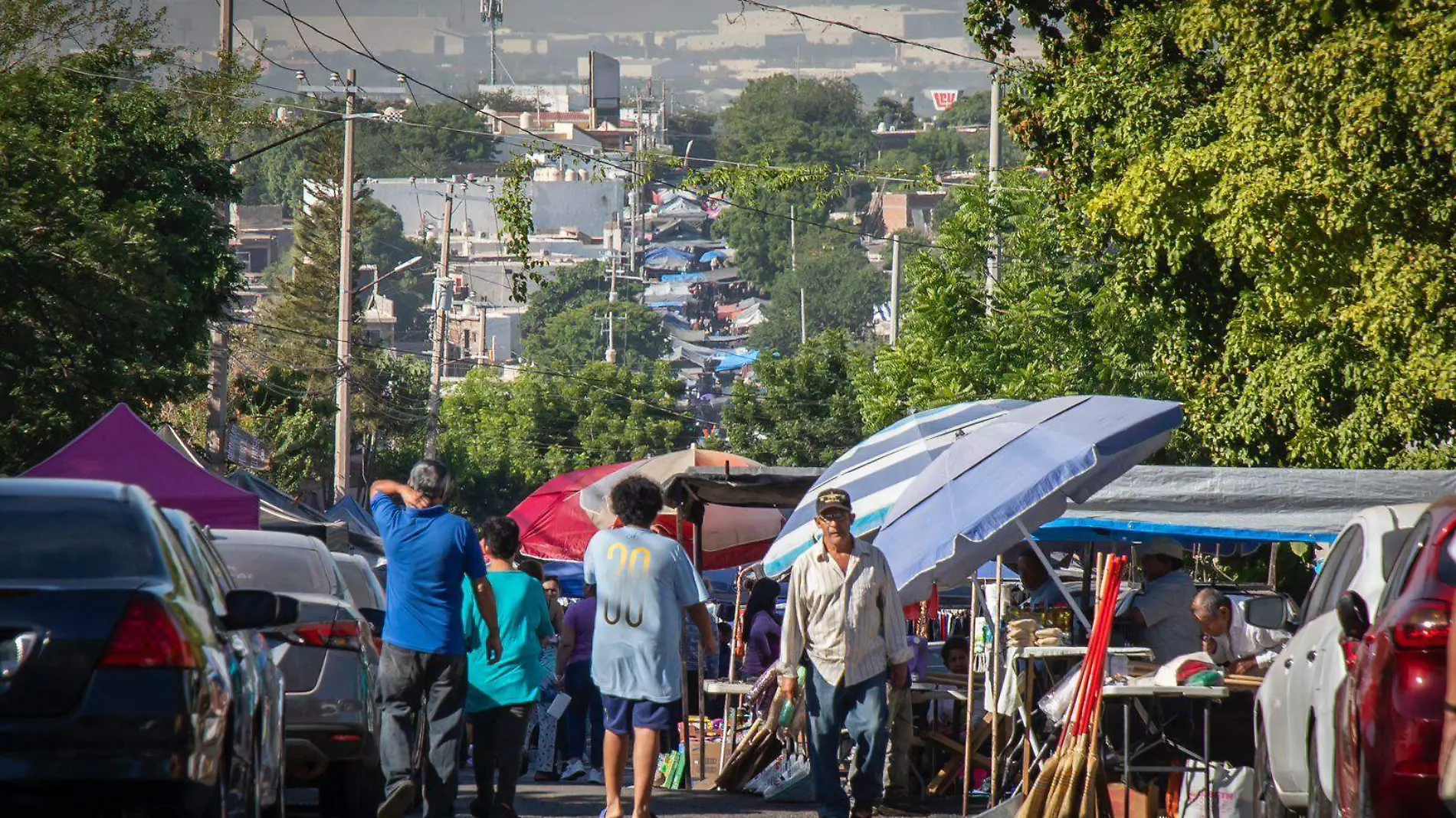 tianguis terrones